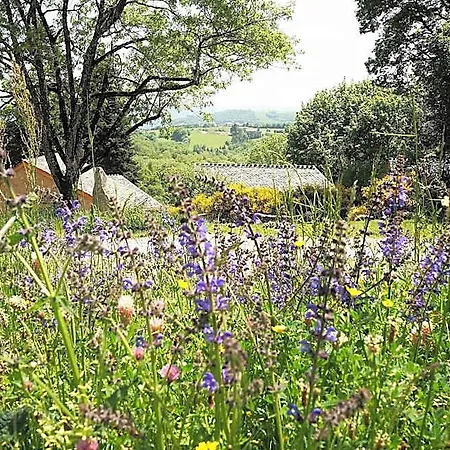 Domaine Des Marequiers Melilot