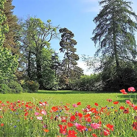 Nocleg ze śniadaniem Domaine Des Marequiers Melilot Saint-Germain-du-Teil