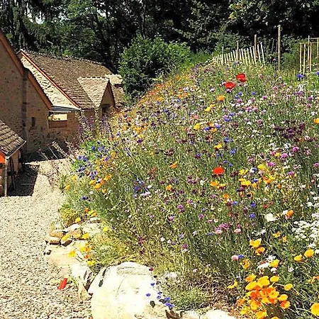 Domaine Des Marequiers Melilot 3*