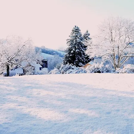 Domaine Des Marequiers Melilot Frühstückspension Saint-Germain-du-Teil