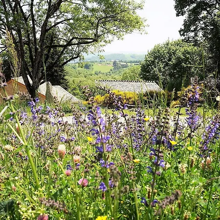Domaine Des Marequiers Melilot
